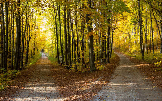 Ethikkomitee im Marienhospital Stuttgart (Bild: unsplash.com/damian-siodlak) Ethikkomitee im Marienhospital Stuttgart (Bild: unsplash.com/damian-siodlak)