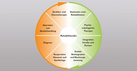 360°-Behandlungskonzept für Brustkrebspatientinnen